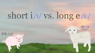 Short i vs long e (pronunciation of the English vowels /ɪ/ vs /iː/)