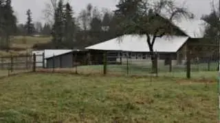 Ramber on Acreage - 32002  BRANDSTROM RD Stanwood, WA 98292