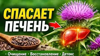 ПЕЧЕНЬ ОЧИЩАЕТСЯ САМА, ЕСЛИ ЗНАТЬ ЭТОТ СЕКРЕТ