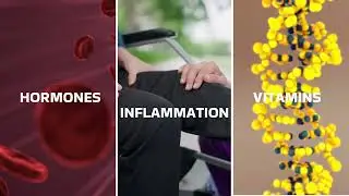 B Cell Biologics