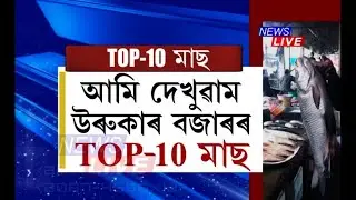 উৰুকা বজাৰৰ TOP-10 মাছ