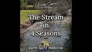 The Stream in 4 Seasons- April, August, October, December 2022- Blog and Vlogs by Ursula Carrie