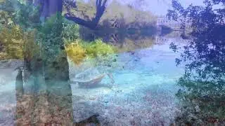 IMPERIUMSOHA - SAVE OUR PARADISE ( STICK FIGURE COVER ) INSTRU