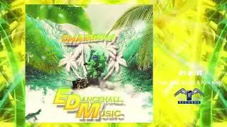 CHAMBAH   (ALIVE ) FT  VYBZ KARTEL & KIM KELLY