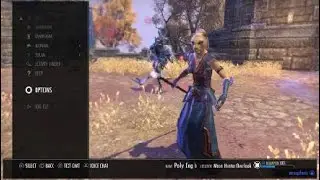 ESO Moon Hunter Keep, Khajiit Templar DPS, Normal, PS4