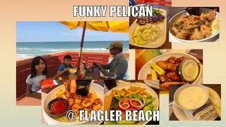 Funky Pelican  and Flagler beach ,  