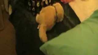 Florida :D