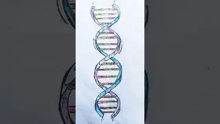 how to draw a 3D DNA molecule | visit my profile for full tutorial | #easymethod #dnastructure #dna