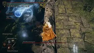 MAKING IT RAIN ON THE LION - Elden Ring (PS5)