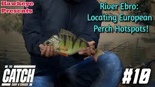 THE CATCH: Carp and Coarse - River Ebro: Locating European Perch Hotspots!