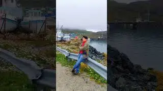#travel #marino #seamanlife #fypviral #greenland