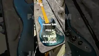 Fender / American Professional II Jazz Bass (Dark Night)🌒