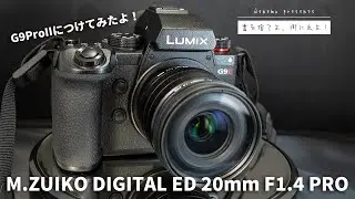 M.ZUIKO DIGITAL ED 20mm F1.4 PRO | ねねむ | レビューがあまり良くないけれど大丈夫？？ #lumix #g9proII #omsystem #vlog #pov
