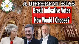 Brexit Indicative Votes - How Would I Choose?