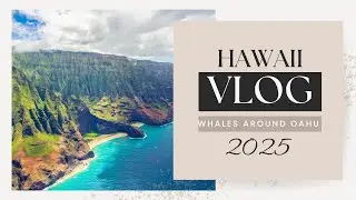 Whale Watching in Hawaii! | HI MAR 2025