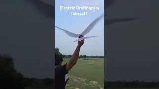 Build and Test of a Electric Ornithopter #MechanicalBird #RobotBird #BirdVsRobot #FlyingRobot
