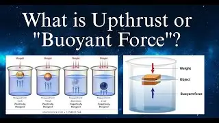 Upthrust & Buoyant Force Explained | Why Do Objects Float? | Class 9 Gravitation