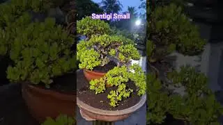 Monitoruj przez 085336075859