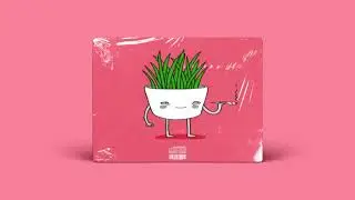 Reggae Boom Bap Type Beat [NATURAL MOOD] Reggae Hip Hop Type Beat | Reggae Rap Type Beat