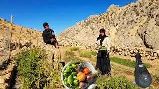 🍆🍅🫑IRAN nomadic life | Watering trees and harvesting crops in the cool mountain air🌳🍅