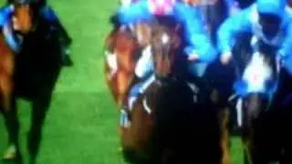 Makybe Diva - tribute to a champion