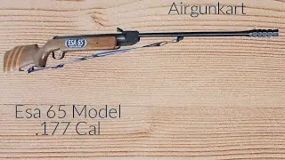 CHEAP AIRGUN UNDER 6000₹ ESA 65 Break Barrel Air Rifle Wooden Stock Cal. .177 #airgun #esa #airsoft