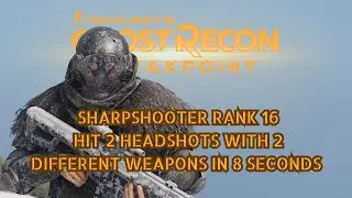 Breakpoint | Sharpshooter Rank 16 | Hit 2 headshots with 2 different weapons in 8 seconds