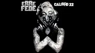 eRReFEDE - Calibro 22