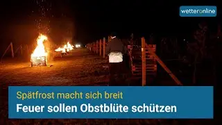 Sp&auml;tfrost: Feuer sollen die Obstbl&uuml;te sch&uuml;tzen