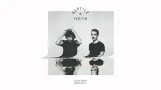 Reptile Youth: Black Swan Born White (Terranova Remix)