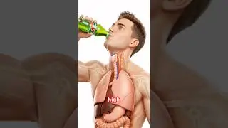 #health #trending #youtubeshorts #trendingshorts #fitness