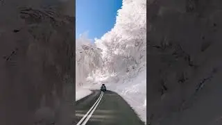 Driving through Greece in the winter 🇬🇷❄️ Stunning sceneries on Mt Vitsi, Florina, Greece