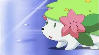 &iexcl;La transformaci&oacute;n de Shaymin a su Forma Cielo!