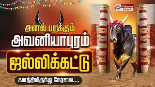 Avaniyapuram Jallikattu - 2025 | Madurai | Pongal Jallikattu | Jallikattu Live