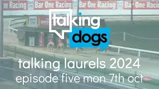 Talking Laurels 2024 Episode 5 Monday 7th October