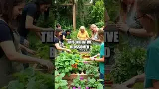 Transformative Impact of Community Seed Swaps
