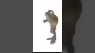 Трек 