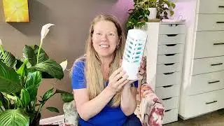 Bug-Free Kitchen! VEYOFLY Gnat & Fly Trap Review for Indoor Use