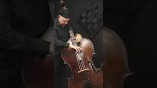 Bella Racz Gasparo DaSalo Master Model Bass