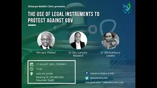 The Use of Legal Instruments to Protect Against GBV