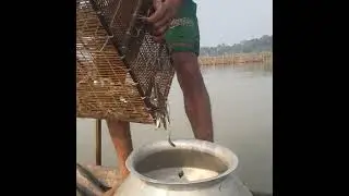 Awesome bamboo cage fishing. #fishing #youtubeshorts #fish