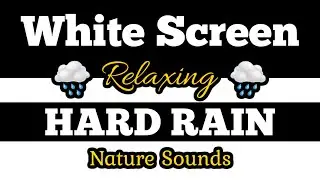 ⬜WHITE SCREEN 🌧️HARD RAIN 🌲Soothing Nature Sounds