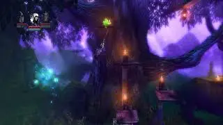 Trine Enchanted Edition. Сложное. Дивный лес / Hard. Fangle Forest