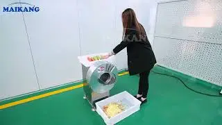 Taiwan Type Vegetable Julienne Cutter