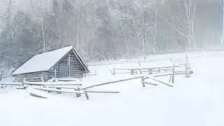 Blizzard Winds in Frozen Forest / 1-Hour Ambience for Meditation & Deep Calm