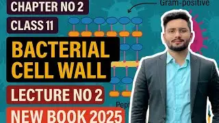 Cell wall Fsc 11| cell wall structure function and composition| new book 2025| CHEMBIO Academy|