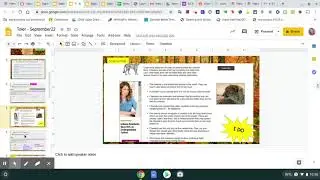 gather evidence activity