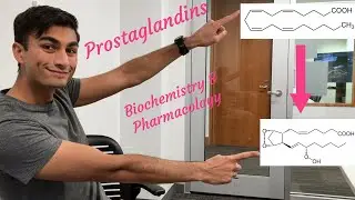 Prostaglandins - Biochemistry and Pharmacology