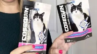 Nutramax Cosequin Joint Health Supplement for Cats   With Glucosamine, Chondroitin, and Omega 3