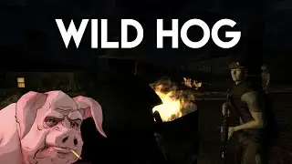 Wild Hog - Campfire Stories